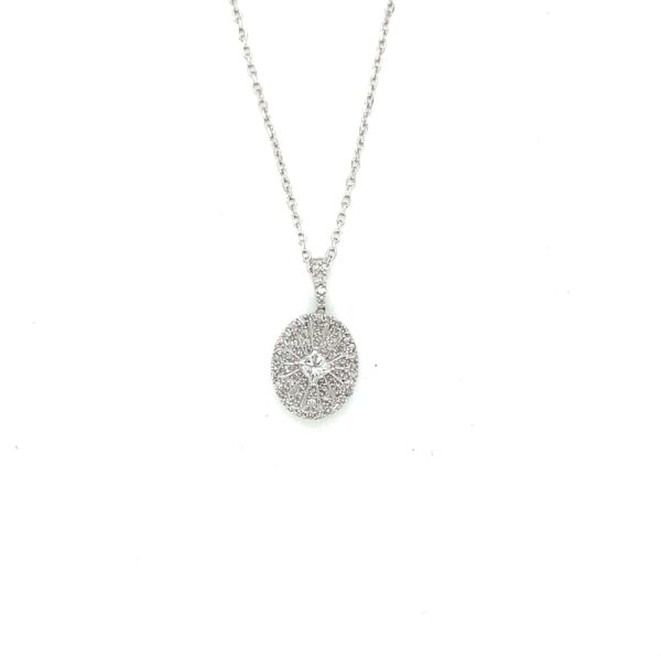 PN14561-scaled-1