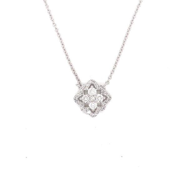 PN14831-scaled-1