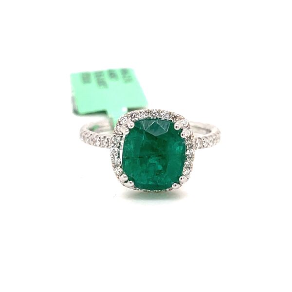 RN27838-scaled-1