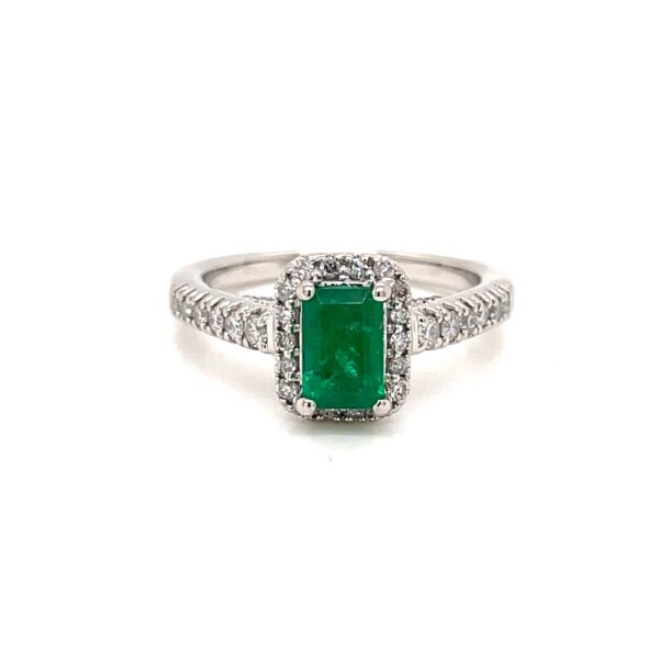 RN28664-scaled-1