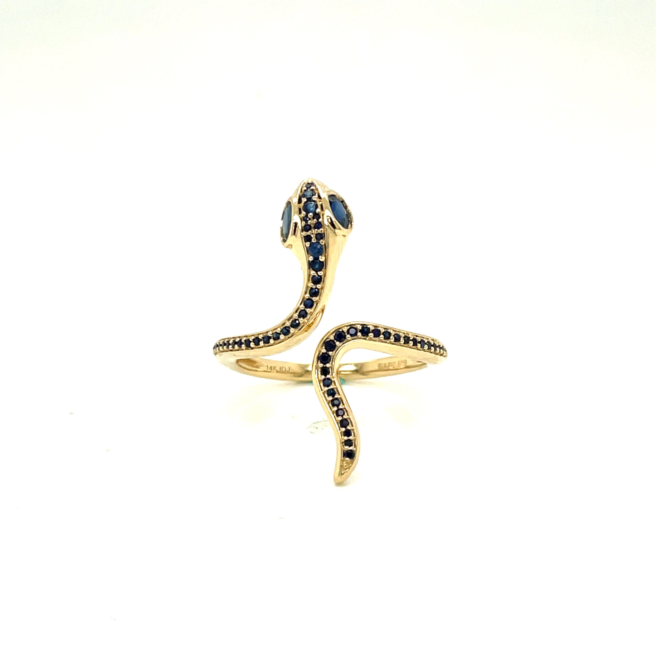 RN31426-scaled-1