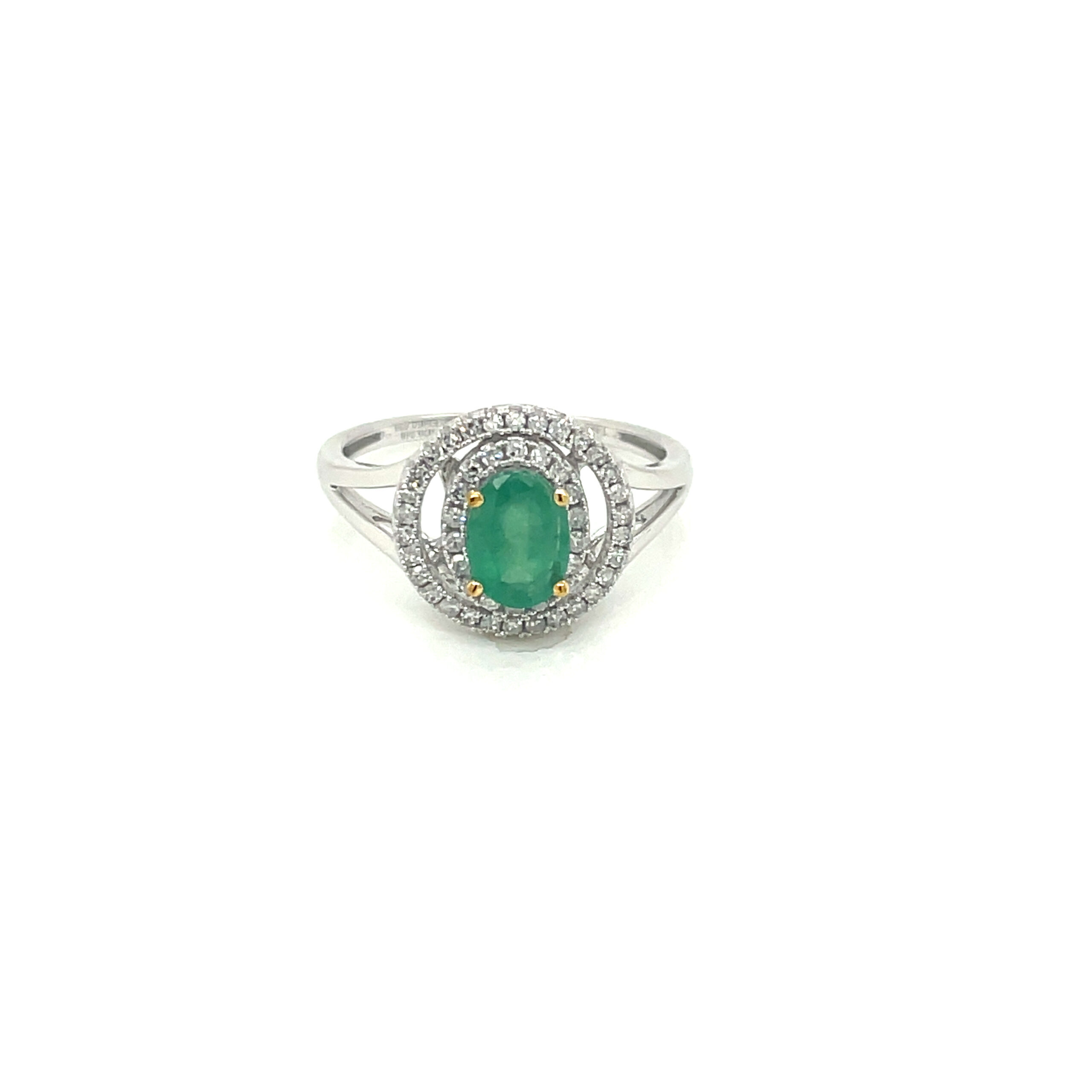 RN31438-scaled-1