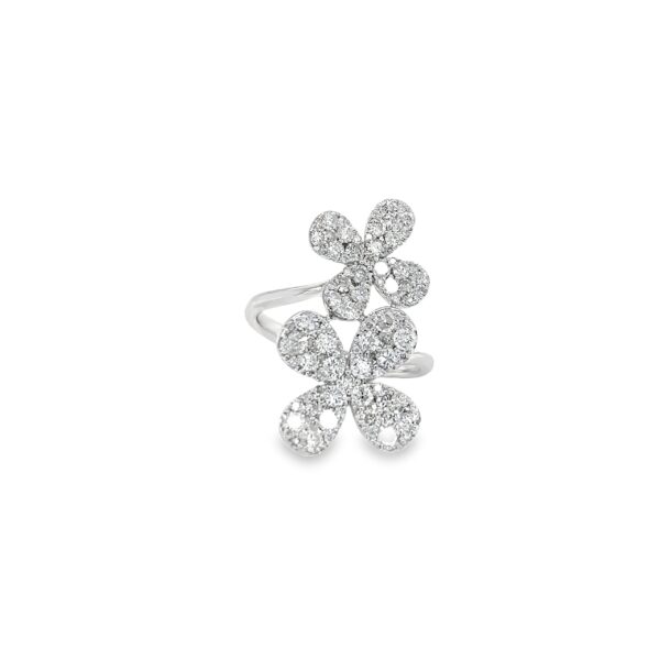 RN32466-W-scaled-1