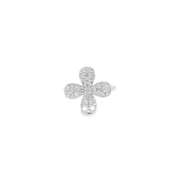 RN32385-W-scaled-1