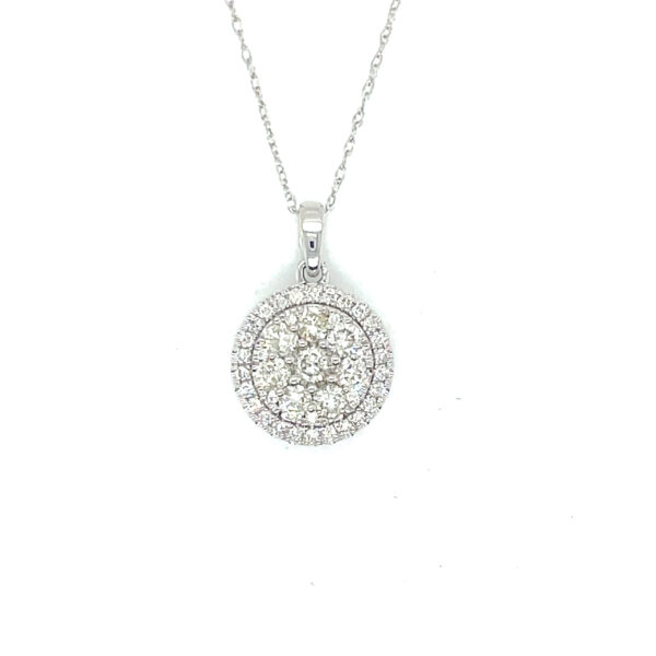 PN15119-scaled-1