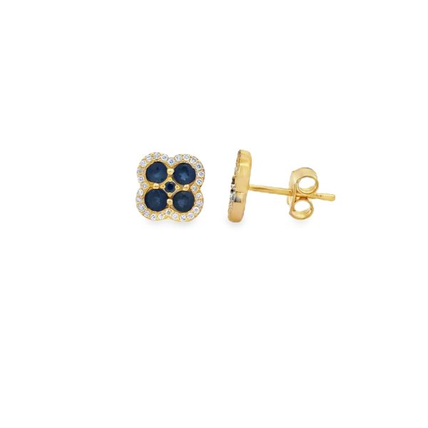 ER305635-Y-scaled-1