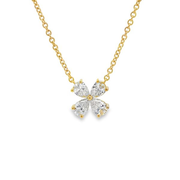 PN17013-Y-scaled-1
