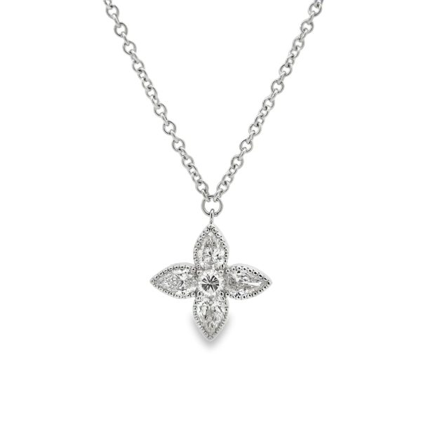PN17016-W-scaled-1