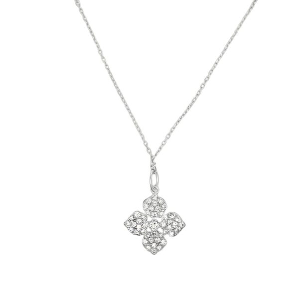 PN17181-W-scaled-1