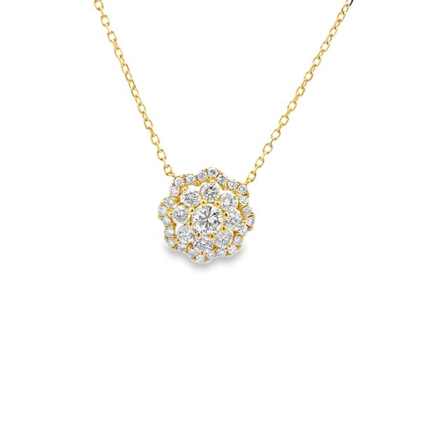 PN17235-Y-scaled-1