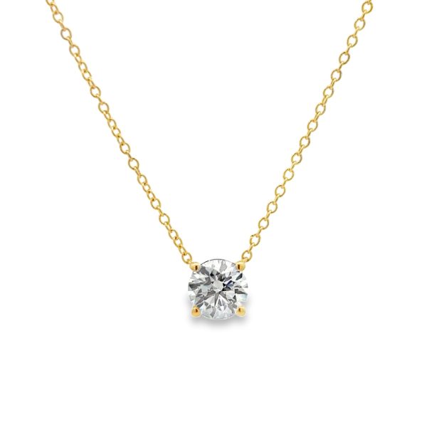 PN17281-Y-scaled-1