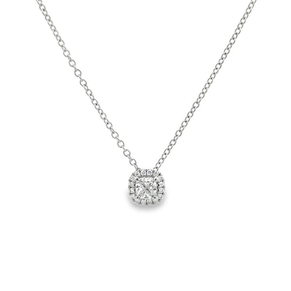 PN17289-scaled-1
