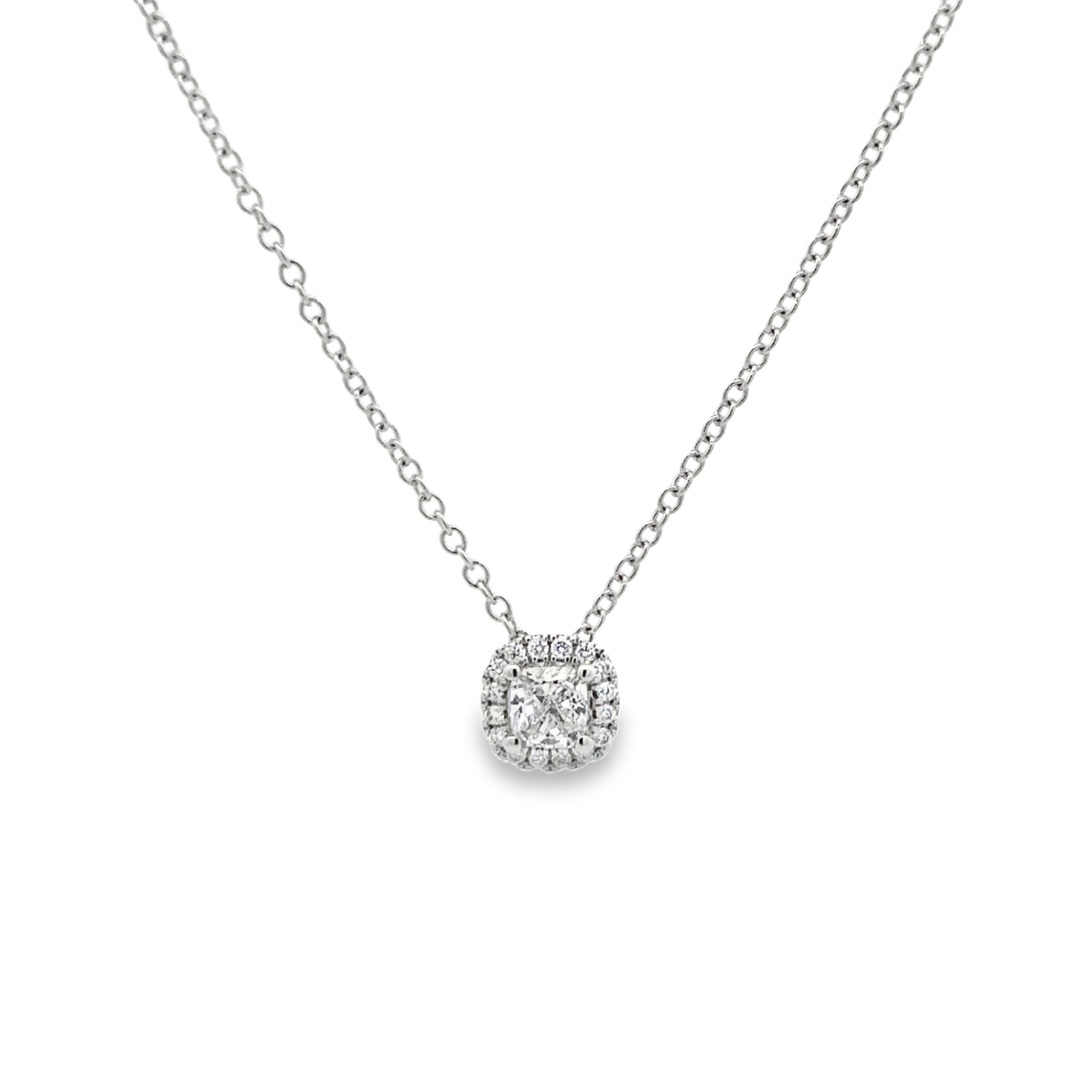 PN17289-scaled-1