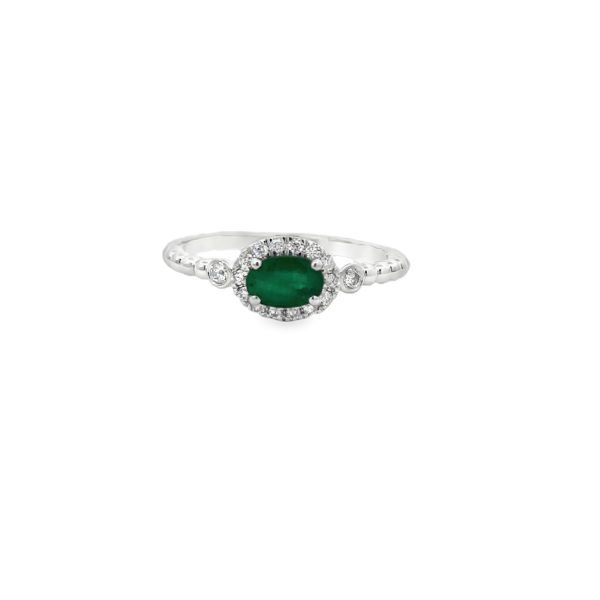 RN35065-W-scaled-1