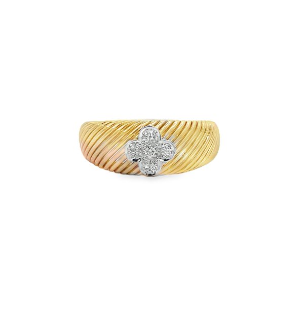 RN35123-Y-scaled-1