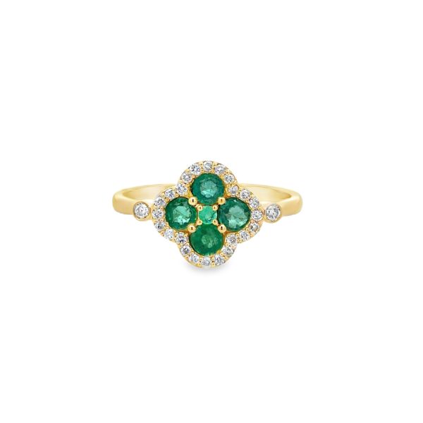 RN35182-Y-scaled-1