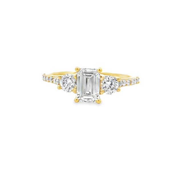 RN35344-Y-scaled-1