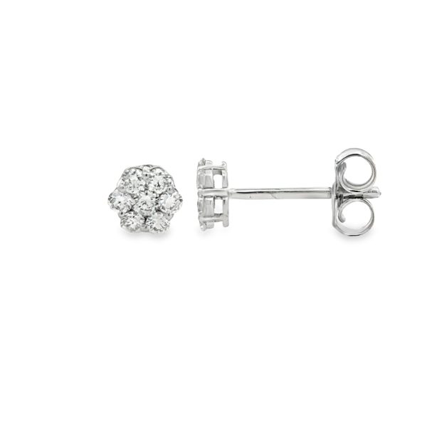 ER305962-W-scaled-1
