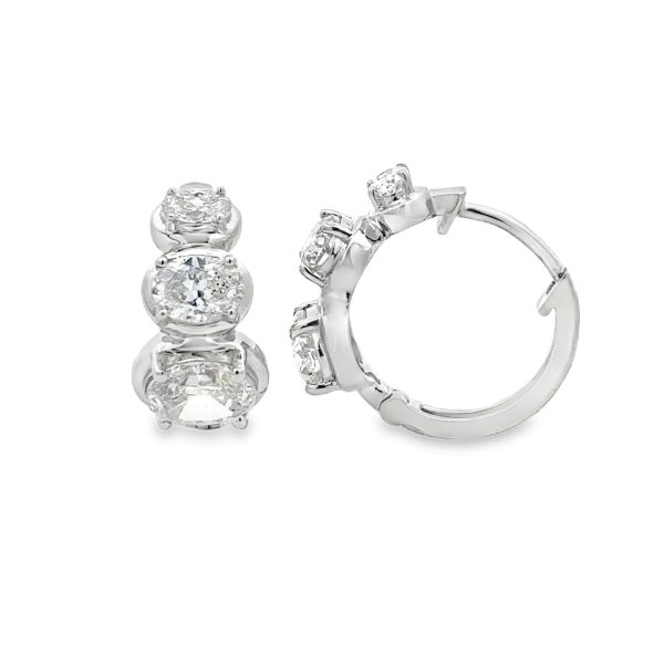 ER306035-W-scaled-1