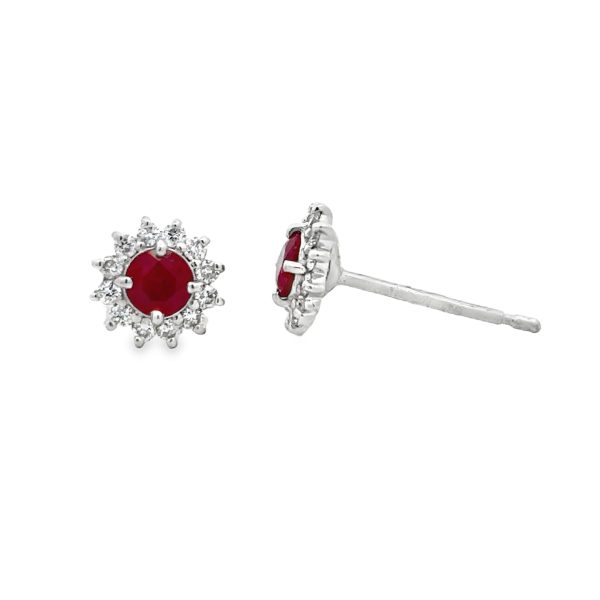 ER306067-W-scaled-1