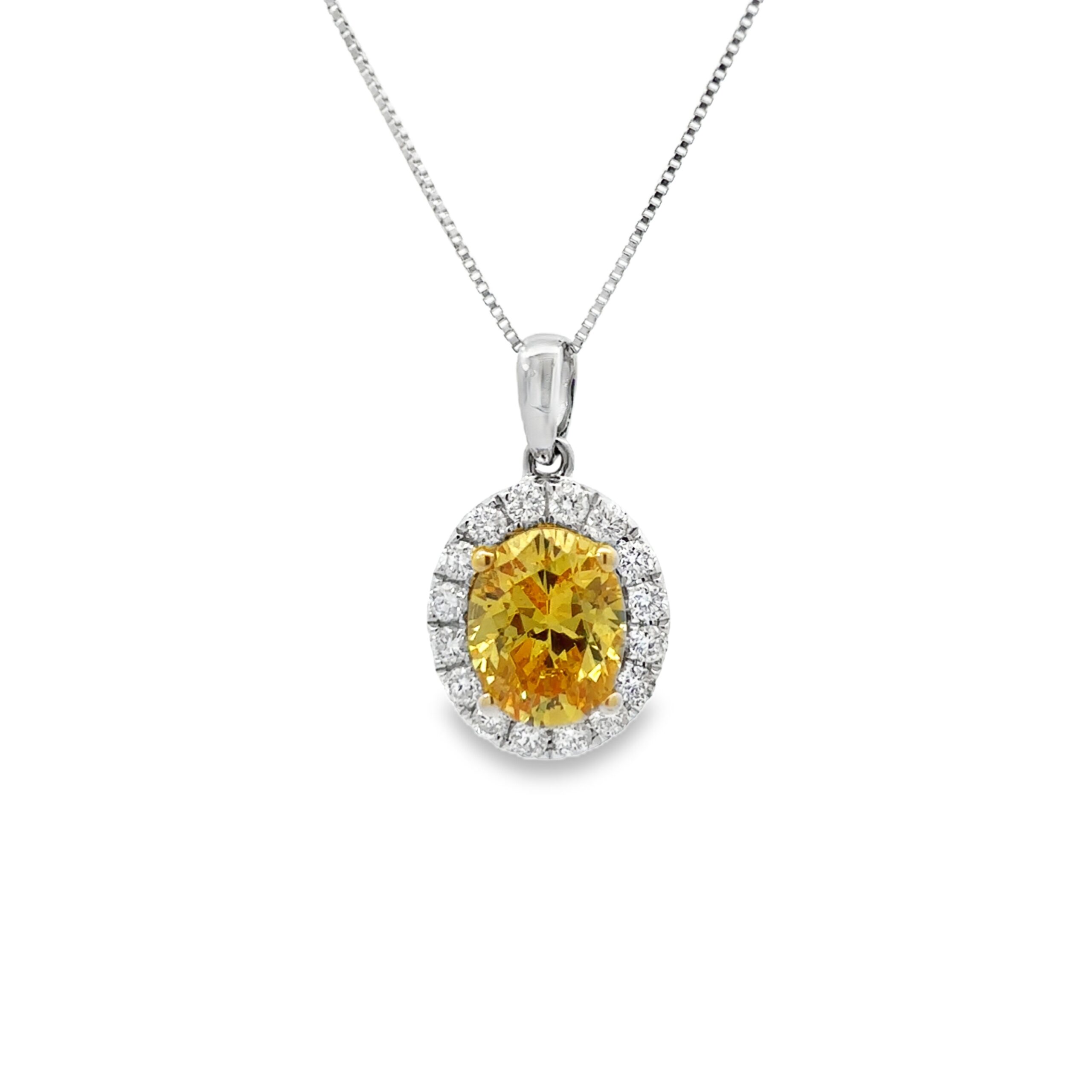 PN17295-scaled-1