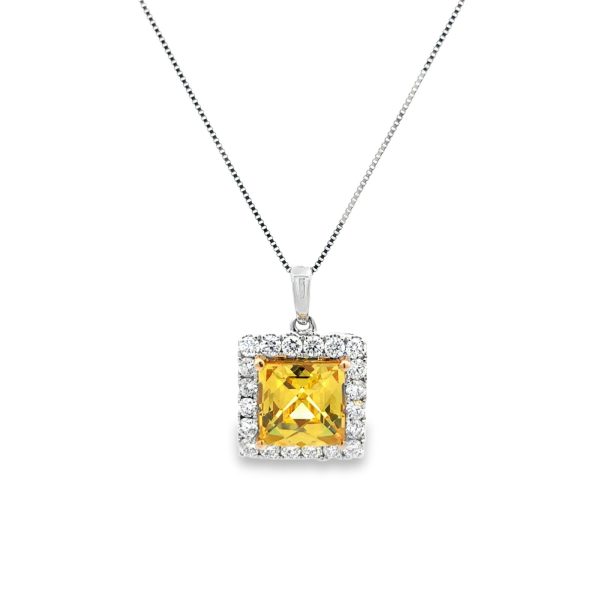 PN17298-scaled-1