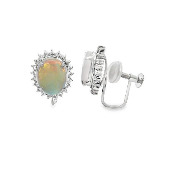 ER306075-W-scaled-1