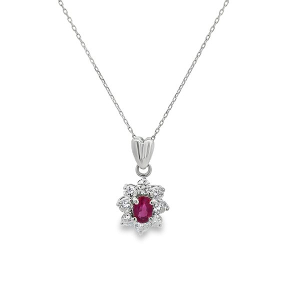 PN17351-scaled-1