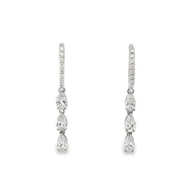 ER306179-W-scaled-1