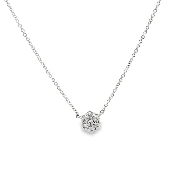 PN17332-scaled-1