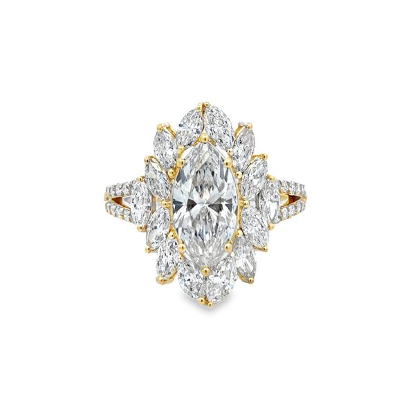 RN35543-scaled-1