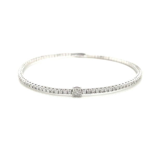 BA02431-W