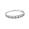 BA02446-W