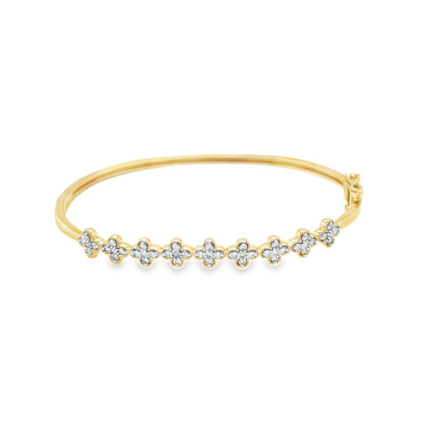 BA02462-Y