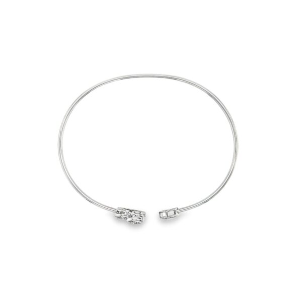 BA02466-W
