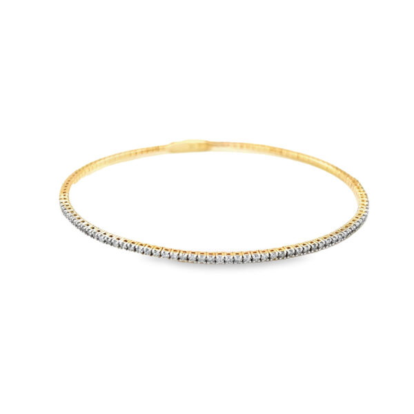 BA02485-Y