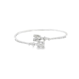 BA02506-W