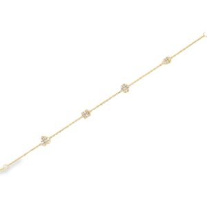 BR09829-Y
