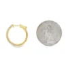 Diamond Accent Hoop Earrings