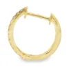 Diamond Hoop Earrings
