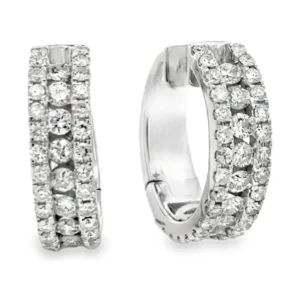 Double Row Hoop Earrings