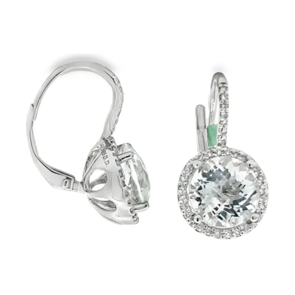 Halo Drop Earrings