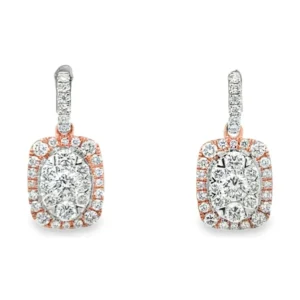 Halo Drop Earrings