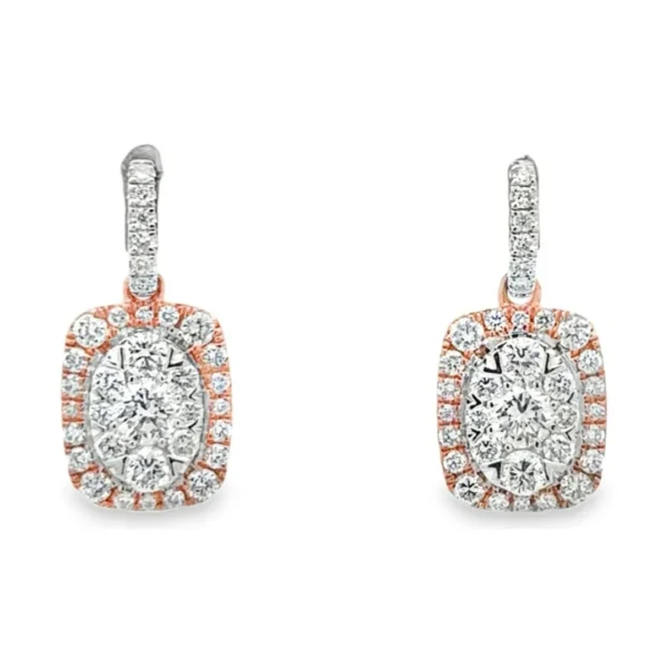 Halo Drop Earrings
