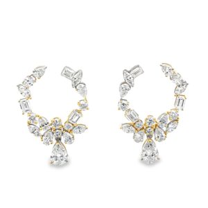 ER305963-Y-scaled-1.jpg ER305963-Y