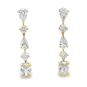 Multi Shape Drop Earrings