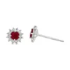 Ruby Halo Stud Earrings