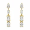 Multi Shape Drop Earrings