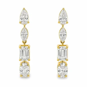 Multi Shape Drop Earrings