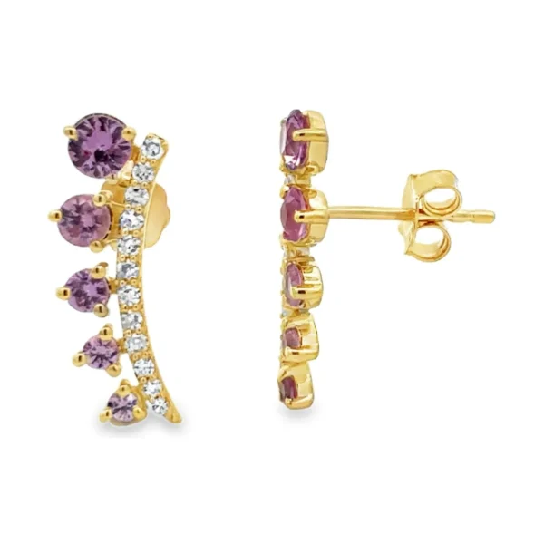 Curved Gemstone Climber Earrings